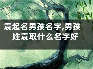 袁起名男孩名字,男孩姓袁取什么名字好