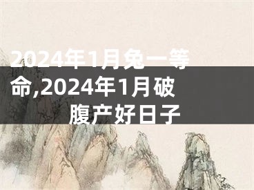 2024年1月兔一等命,2024年1月破腹产好日子