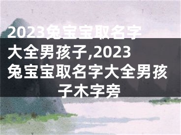 2023兔宝宝取名字大全男孩子,2023兔宝宝取名字大全男孩子木字旁