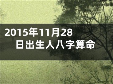 2015年11月28日出生人八字算命