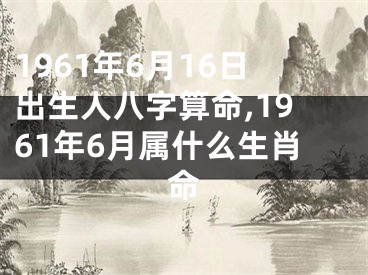1961年6月16日出生人八字算命,1961年6月属什么生肖命