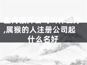 生肖猴开公司叫什么好,属猴的人注册公司起什么名好