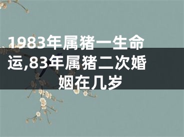 1983年属猪一生命运,83年属猪二次婚姻在几岁
