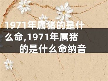 1971年属猪的是什么命,1971年属猪的是什么命纳音