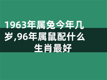1963年属兔今年几岁,96年属鼠配什么生肖最好