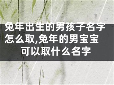 兔年出生的男孩子名字怎么取,兔年的男宝宝可以取什么名字