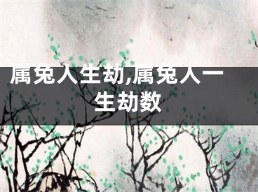 属兔人生劫,属兔人一生劫数
