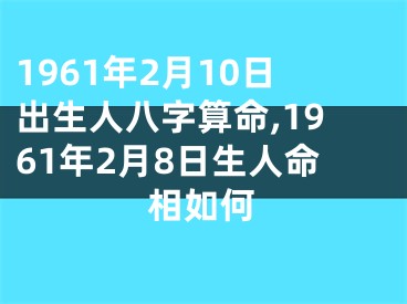 1961年2月10日出生人八字算命,1961年2月8日生人命相如何