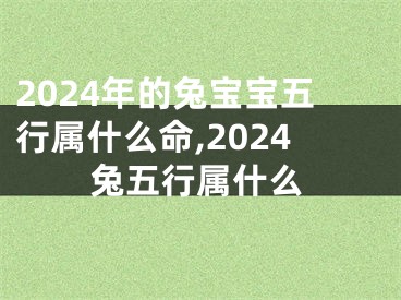 2024年的兔宝宝五行属什么命,2024兔五行属什么
