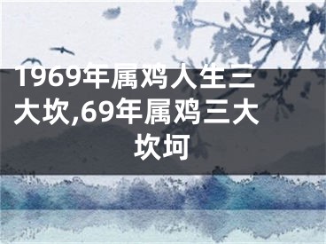 1969年属鸡人生三大坎,69年属鸡三大坎坷