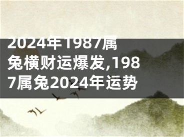 2024年1987属兔横财运爆发,1987属兔2024年运势
