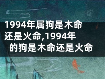 1994年属狗是木命还是火命,1994年的狗是木命还是火命