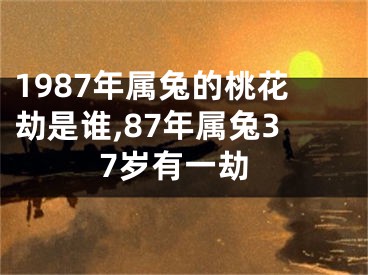 1987年属兔的桃花劫是谁,87年属兔37岁有一劫