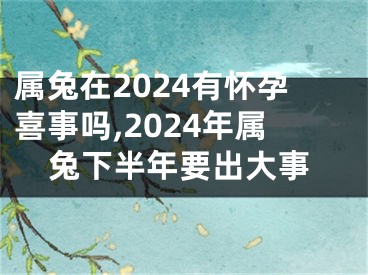 属兔在2024有怀孕喜事吗,2024年属兔下半年要出大事
