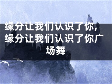 缘分让我们认识了你,缘分让我们认识了你广场舞