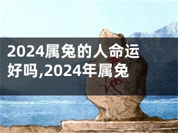 2024属兔的人命运好吗,2024年属兔