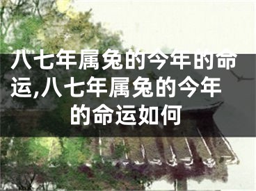 八七年属兔的今年的命运,八七年属兔的今年的命运如何