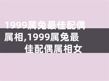 1999属兔最佳配偶属相,1999属兔最佳配偶属相女