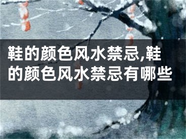 鞋的颜色风水禁忌,鞋的颜色风水禁忌有哪些