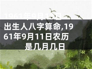 1961年9月13日出生人八字算命,1961年9月11日农历是几月几日
