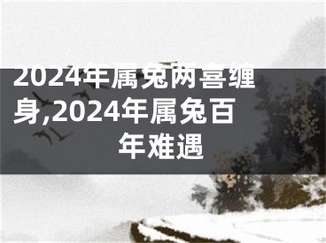 2024年属兔两喜缠身,2024年属兔百年难遇