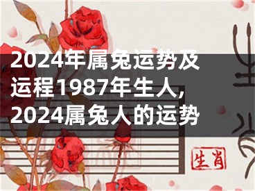 2024年属兔运势及运程1987年生人,2024属兔人的运势