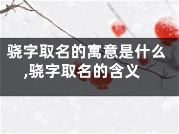骁字取名的寓意是什么,骁字取名的含义