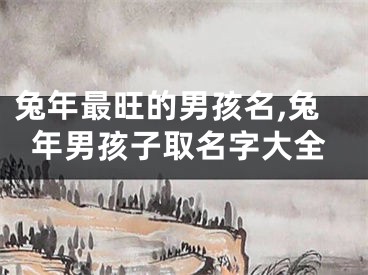 兔年最旺的男孩名,兔年男孩子取名字大全