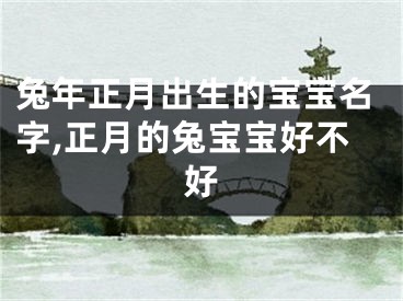 兔年正月出生的宝宝名字,正月的兔宝宝好不好