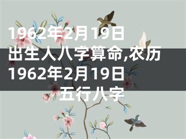 1962年2月19日出生人八字算命,农历1962年2月19日五行八字