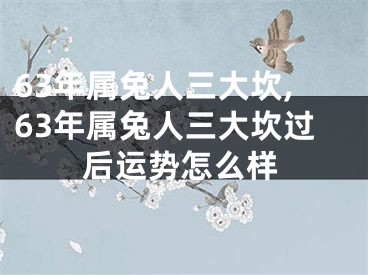 63年属兔人三大坎,63年属兔人三大坎过后运势怎么样