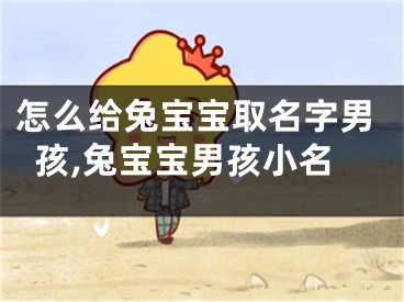 怎么给兔宝宝取名字男孩,兔宝宝男孩小名