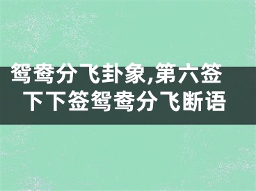 鸳鸯分飞卦象,第六签下下签鸳鸯分飞断语