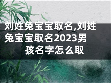 刘姓兔宝宝取名,刘姓兔宝宝取名2023男孩名字怎么取