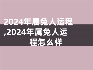 2024年属兔人运程,2024年属兔人运程怎么样