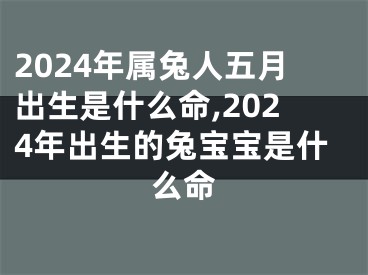 2024年属兔人五月出生是什么命,2024年出生的兔宝宝是什么命