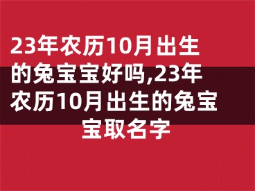 23年农历10月出生的兔宝宝好吗,23年农历10月出生的兔宝宝取名字