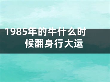 1985年的牛什么时候翻身行大运