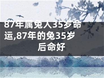 87年属兔人35岁命运,87年的兔35岁后命好