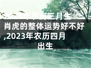 2024年农历三月生肖虎的整体运势好不好,2023年农历四月出生