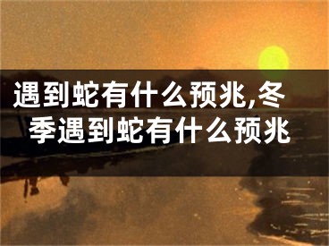 遇到蛇有什么预兆,冬季遇到蛇有什么预兆
