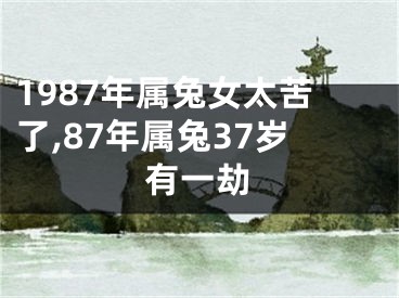 1987年属兔女太苦了,87年属兔37岁有一劫