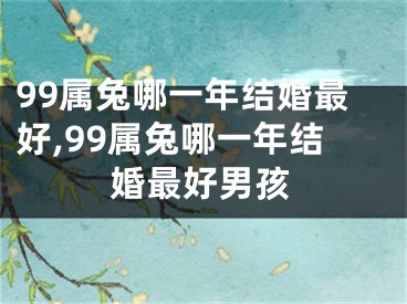 99属兔哪一年结婚最好,99属兔哪一年结婚最好男孩
