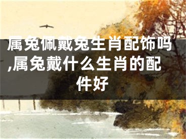 属兔佩戴兔生肖配饰吗,属兔戴什么生肖的配件好