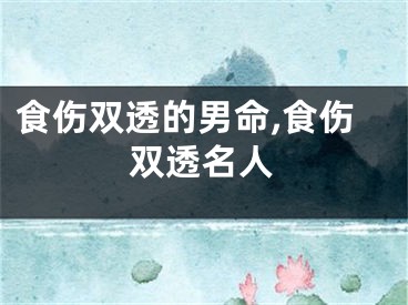 食伤双透的男命,食伤双透名人