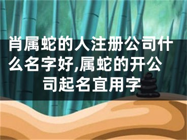 肖属蛇的人注册公司什么名字好,属蛇的开公司起名宜用字