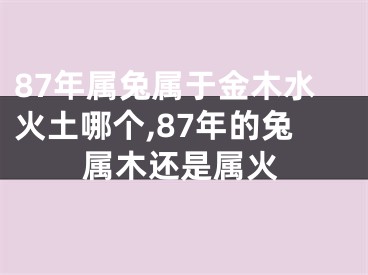 87年属兔属于金木水火土哪个,87年的兔属木还是属火