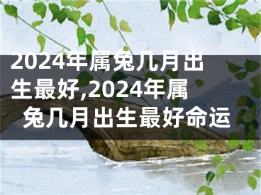 2024年属兔几月出生最好,2024年属兔几月出生最好命运