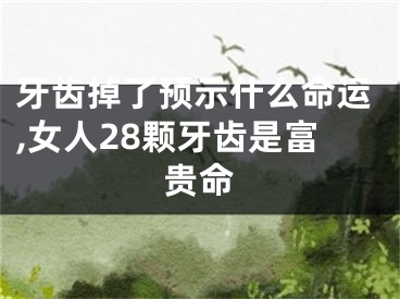 牙齿掉了预示什么命运,女人28颗牙齿是富贵命
