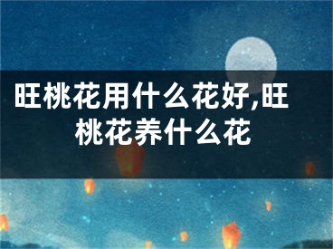 旺桃花用什么花好,旺桃花养什么花